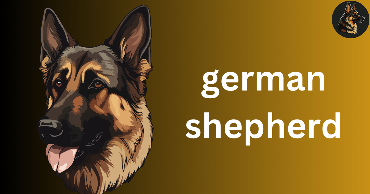 how much is a german shepherd