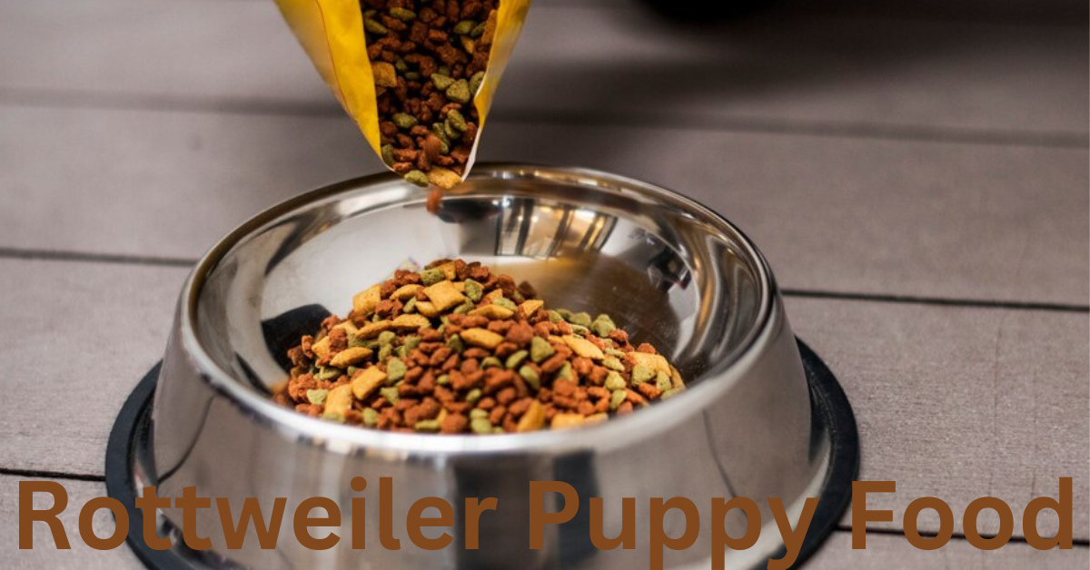 Rottweiler Puppy Food