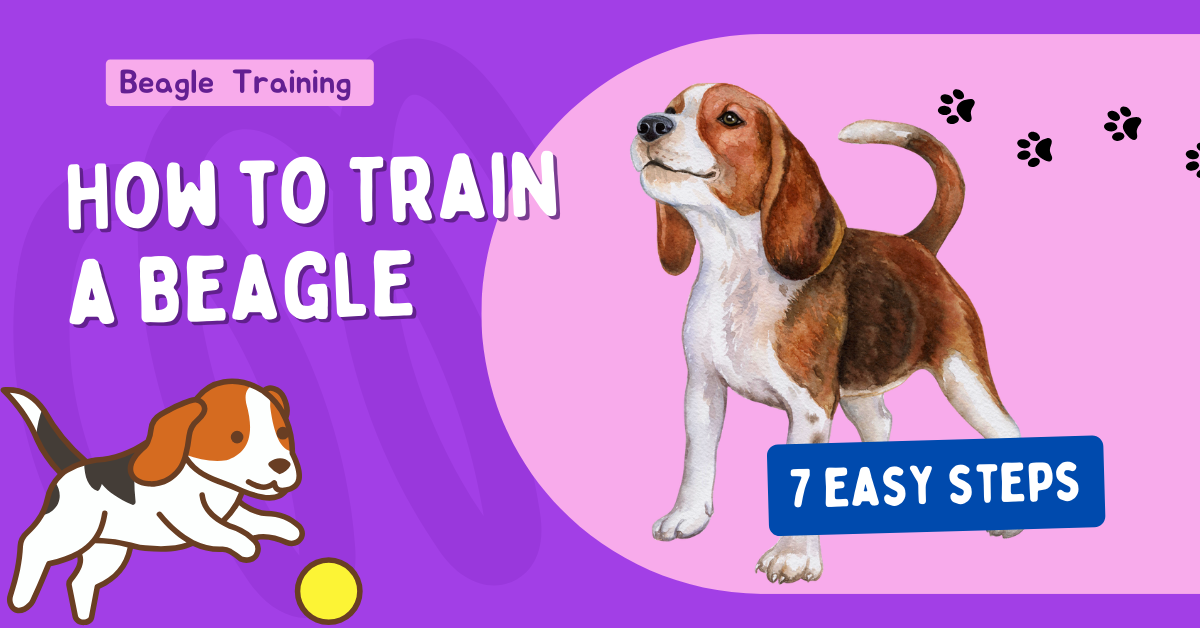 How to Train a Beagle